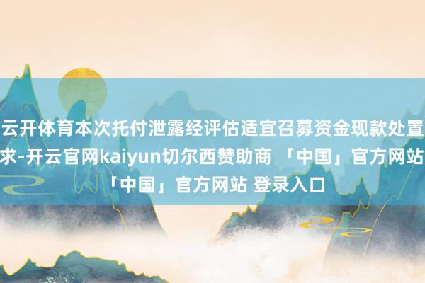 云开体育本次托付泄露经评估适宜召募资金现款处置的使用要求-开云官网kaiyun切尔西赞助商 「中国」官方网站 登录入口