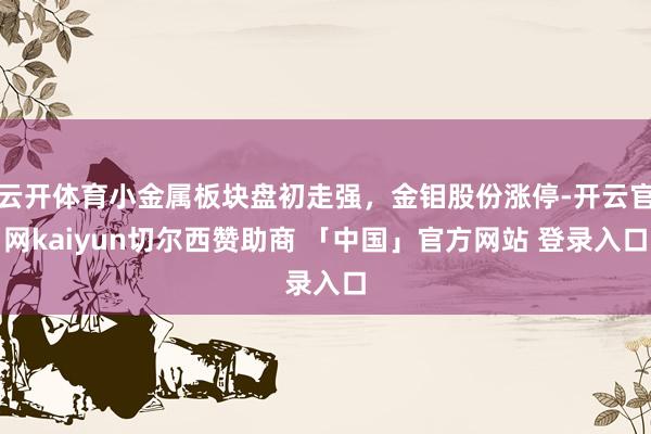 云开体育小金属板块盘初走强，金钼股份涨停-开云官网kaiyun切尔西赞助商 「中国」官方网站 登录入口